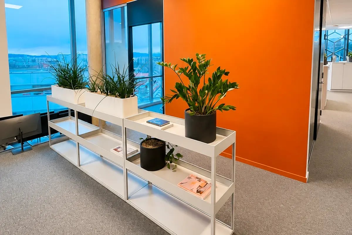 Planter og interiør plassert som en del av den siste innredningen.