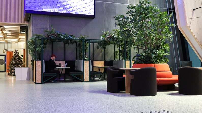 Sequence 01.00_00_08_16.Still006-1